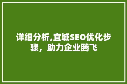 详细分析,宜城SEO优化步骤，助力企业腾飞 详细分析,宜城SEO优化步骤，助力企业腾飞 百度SEO