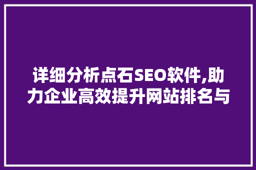 详细分析点石SEO软件,助力企业高效提升网站排名与流量 详细分析点石SEO软件,助力企业高效提升网站排名与流量 GoogleSEO