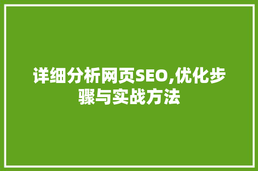 详细分析网页SEO,优化步骤与实战方法 详细分析网页SEO,优化步骤与实战方法 GoogleSEO