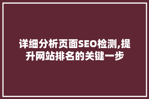 详细分析页面SEO检测,提升网站排名的关键一步 详细分析页面SEO检测,提升网站排名的关键一步 百度SEO