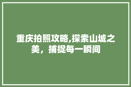 重庆拍照攻略,探索山城之美，捕捉每一瞬间