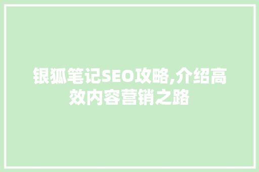 银狐笔记SEO攻略,介绍高效内容营销之路 银狐笔记SEO攻略,介绍高效内容营销之路 GoogleSEO