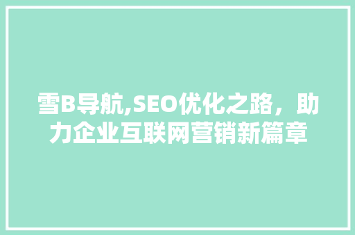 雪B导航,SEO优化之路，助力企业互联网营销新篇章 雪B导航,SEO优化之路，助力企业互联网营销新篇章 必应SEO