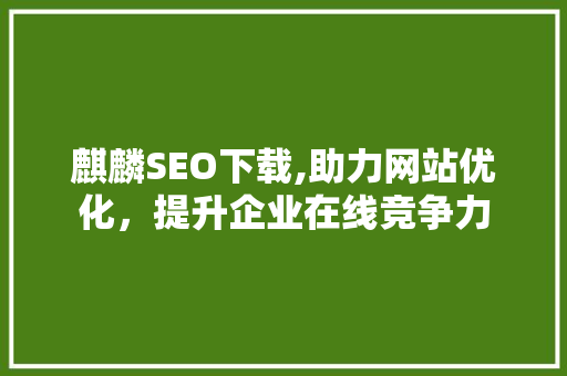 麒麟SEO下载,助力网站优化，提升企业在线竞争力