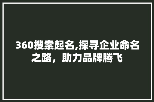 360搜索起名,探寻企业命名之路，助力品牌腾飞 360搜索起名,探寻企业命名之路，助力品牌腾飞 百度SEO