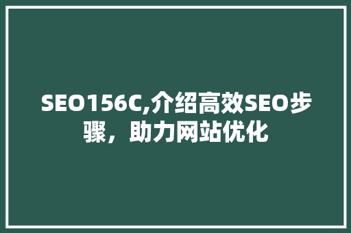 SEO156C,介绍高效SEO步骤，助力网站优化 SEO156C,介绍高效SEO步骤，助力网站优化 GoogleSEO
