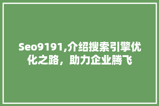 Seo9191,介绍搜索引擎优化之路，助力企业腾飞 Seo9191,介绍搜索引擎优化之路，助力企业腾飞 百度SEO