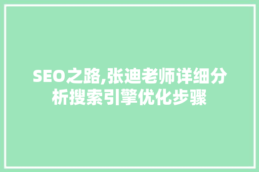 SEO之路,张迪老师详细分析搜索引擎优化步骤 SEO之路,张迪老师详细分析搜索引擎优化步骤 神马SEO