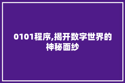 0101程序,揭开数字世界的神秘面纱 0101程序,揭开数字世界的神秘面纱 GoogleSEO