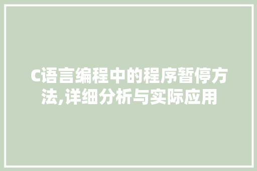 C语言编程中的程序暂停方法,详细分析与实际应用 C语言编程中的程序暂停方法,详细分析与实际应用 GoogleSEO