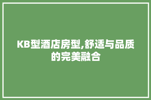 KB型酒店房型,舒适与品质的完美融合 KB型酒店房型,舒适与品质的完美融合 百度SEO