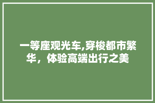 一等座观光车,穿梭都市繁华，体验高端出行之美 一等座观光车,穿梭都市繁华，体验高端出行之美 神马SEO
