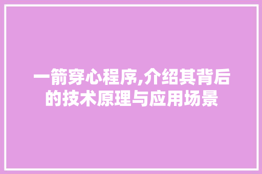 一箭穿心程序,介绍其背后的技术原理与应用场景 一箭穿心程序,介绍其背后的技术原理与应用场景 GoogleSEO