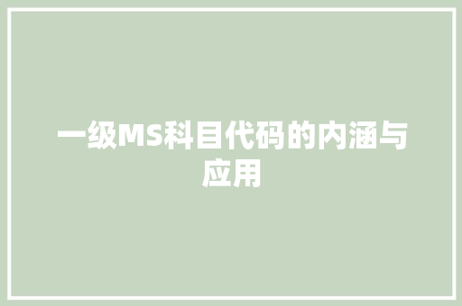 一级MS科目代码的内涵与应用