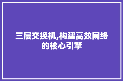 三层交换机,构建高效网络的核心引擎 三层交换机,构建高效网络的核心引擎 搜狗SEO