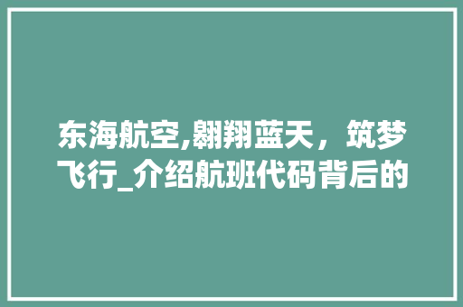 东海航空,翱翔蓝天，筑梦飞行_介绍航班代码背后的故事
