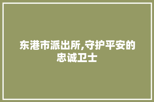 东港市派出所,守护平安的忠诚卫士