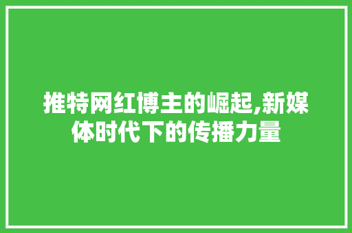推特网红博主的崛起,新媒体时代下的传播力量 推特网红博主的崛起,新媒体时代下的传播力量 神马SEO