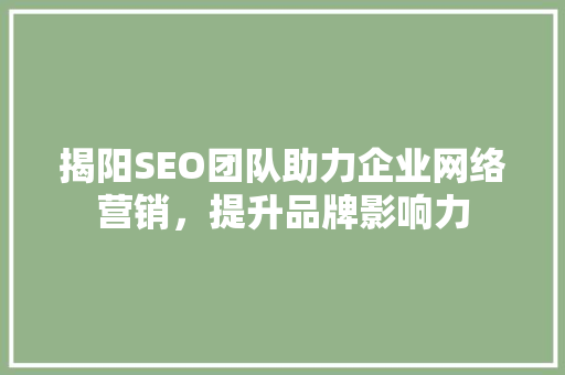揭阳SEO团队助力企业网络营销，提升品牌影响力 揭阳SEO团队助力企业网络营销，提升品牌影响力 GoogleSEO