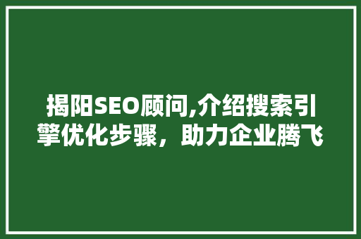 揭阳SEO顾问,介绍搜索引擎优化步骤，助力企业腾飞 揭阳SEO顾问,介绍搜索引擎优化步骤，助力企业腾飞 搜狗SEO