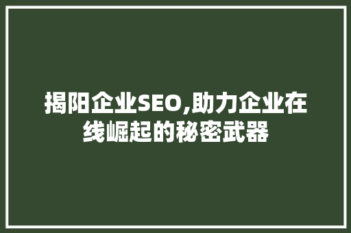 揭阳企业SEO,助力企业在线崛起的秘密武器 揭阳企业SEO,助力企业在线崛起的秘密武器 GoogleSEO