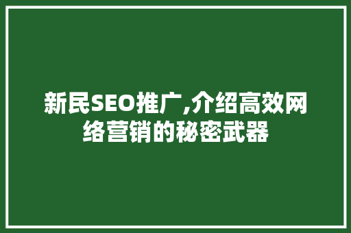 新民SEO推广,介绍高效网络营销的秘密武器 新民SEO推广,介绍高效网络营销的秘密武器 搜狗SEO
