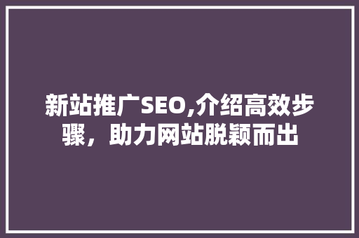 新站推广SEO,介绍高效步骤，助力网站脱颖而出 新站推广SEO,介绍高效步骤，助力网站脱颖而出 GoogleSEO
