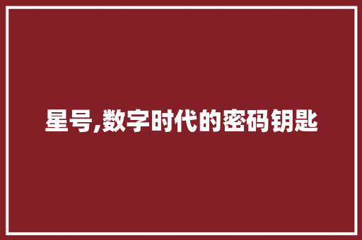 星号,数字时代的密码钥匙
