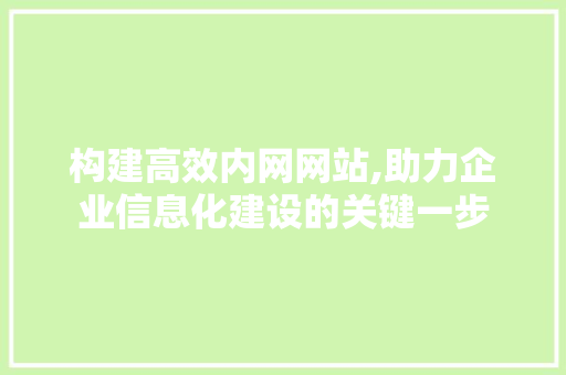 构建高效内网网站,助力企业信息化建设的关键一步 构建高效内网网站,助力企业信息化建设的关键一步 GoogleSEO