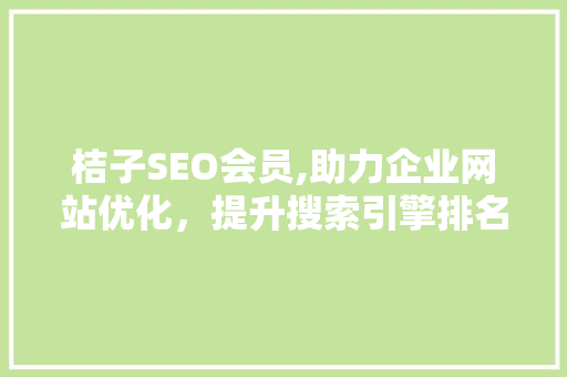 桔子SEO会员,助力企业网站优化，提升搜索引擎排名 桔子SEO会员,助力企业网站优化，提升搜索引擎排名 GoogleSEO
