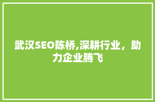 武汉SEO陈桥,深耕行业，助力企业腾飞 武汉SEO陈桥,深耕行业，助力企业腾飞 GoogleSEO