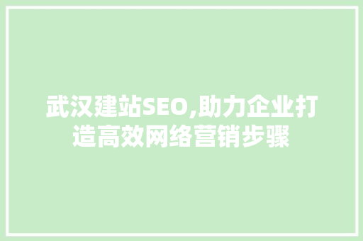武汉建站SEO,助力企业打造高效网络营销步骤 武汉建站SEO,助力企业打造高效网络营销步骤 GoogleSEO