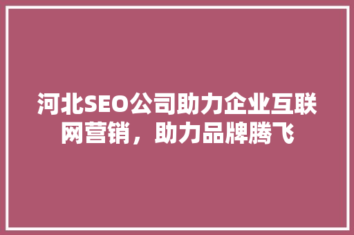 河北SEO公司助力企业互联网营销，助力品牌腾飞 河北SEO公司助力企业互联网营销，助力品牌腾飞 搜狗SEO