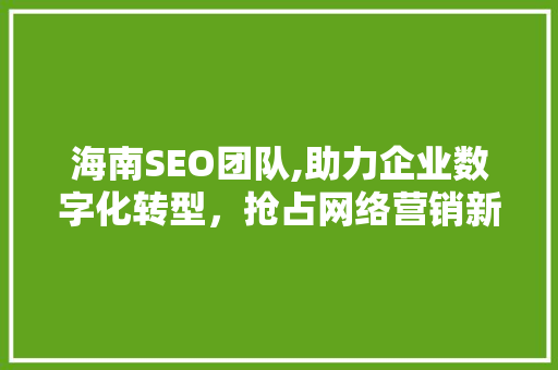 海南SEO团队,助力企业数字化转型，抢占网络营销新风口 海南SEO团队,助力企业数字化转型，抢占网络营销新风口 GoogleSEO