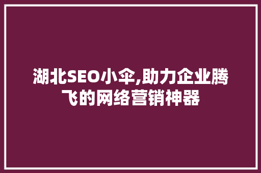 湖北SEO小伞,助力企业腾飞的网络营销神器 湖北SEO小伞,助力企业腾飞的网络营销神器 GoogleSEO