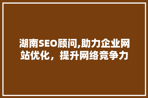 湖南SEO顾问,助力企业网站优化，提升网络竞争力 湖南SEO顾问,助力企业网站优化，提升网络竞争力 百度SEO