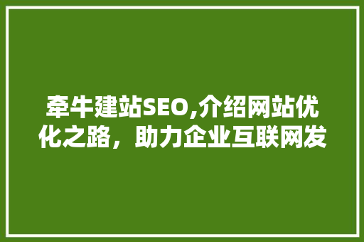 牵牛建站SEO,介绍网站优化之路，助力企业互联网发展 牵牛建站SEO,介绍网站优化之路，助力企业互联网发展 必应SEO