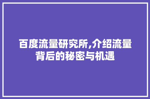 百度流量研究所,介绍流量背后的秘密与机遇 百度流量研究所,介绍流量背后的秘密与机遇 神马SEO