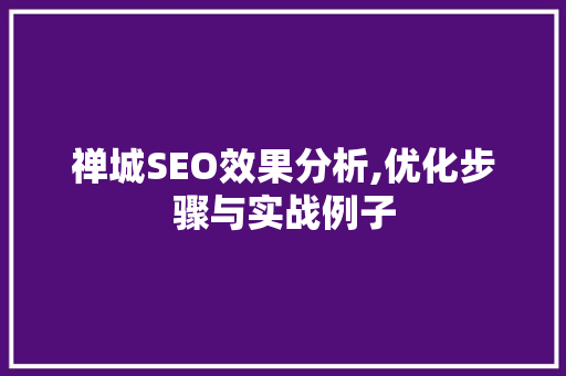 禅城SEO效果分析,优化步骤与实战例子 禅城SEO效果分析,优化步骤与实战例子 GoogleSEO