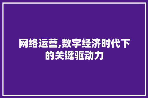 网络运营,数字经济时代下的关键驱动力 网络运营,数字经济时代下的关键驱动力 神马SEO