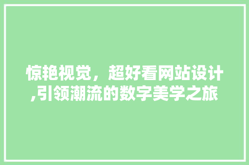 惊艳视觉，超好看网站设计,引领潮流的数字美学之旅 惊艳视觉，超好看网站设计,引领潮流的数字美学之旅 GoogleSEO