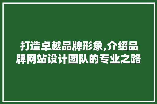 打造卓越品牌形象,介绍品牌网站设计团队的专业之路