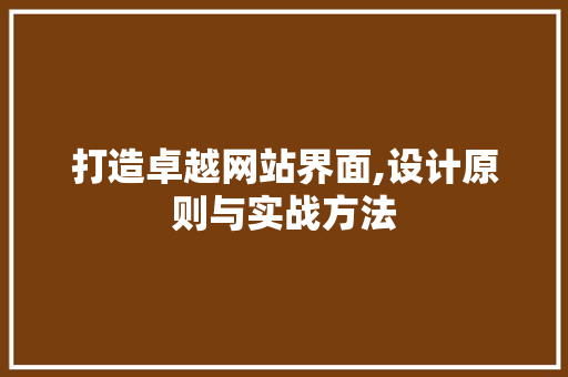 打造卓越网站界面,设计原则与实战方法