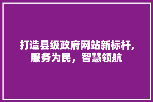 打造县级政府网站新标杆,服务为民，智慧领航