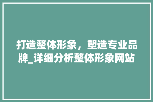 打造整体形象，塑造专业品牌_详细分析整体形象网站设计的重要性