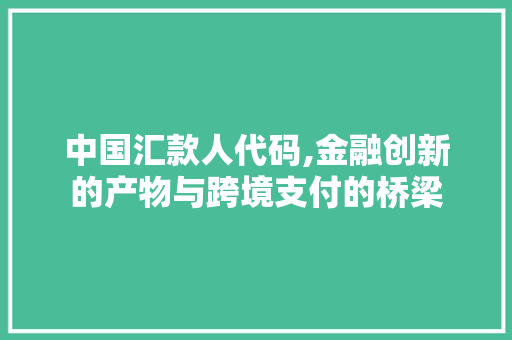 中国汇款人代码,金融创新的产物与跨境支付的桥梁 中国汇款人代码,金融创新的产物与跨境支付的桥梁 神马SEO