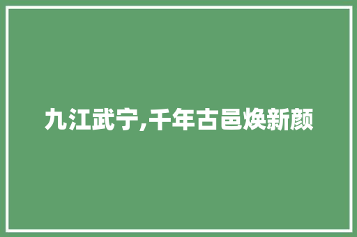 九江武宁,千年古邑焕新颜 九江武宁,千年古邑焕新颜 神马SEO