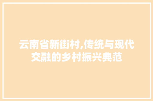云南省新街村,传统与现代交融的乡村振兴典范 云南省新街村,传统与现代交融的乡村振兴典范 神马SEO