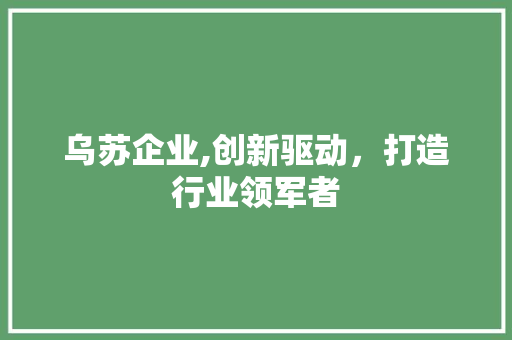 乌苏企业,创新驱动，打造行业领军者 乌苏企业,创新驱动，打造行业领军者 百度SEO