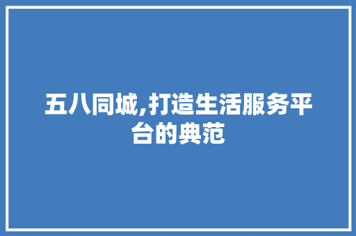 五八同城,打造生活服务平台的典范 五八同城,打造生活服务平台的典范 百度SEO